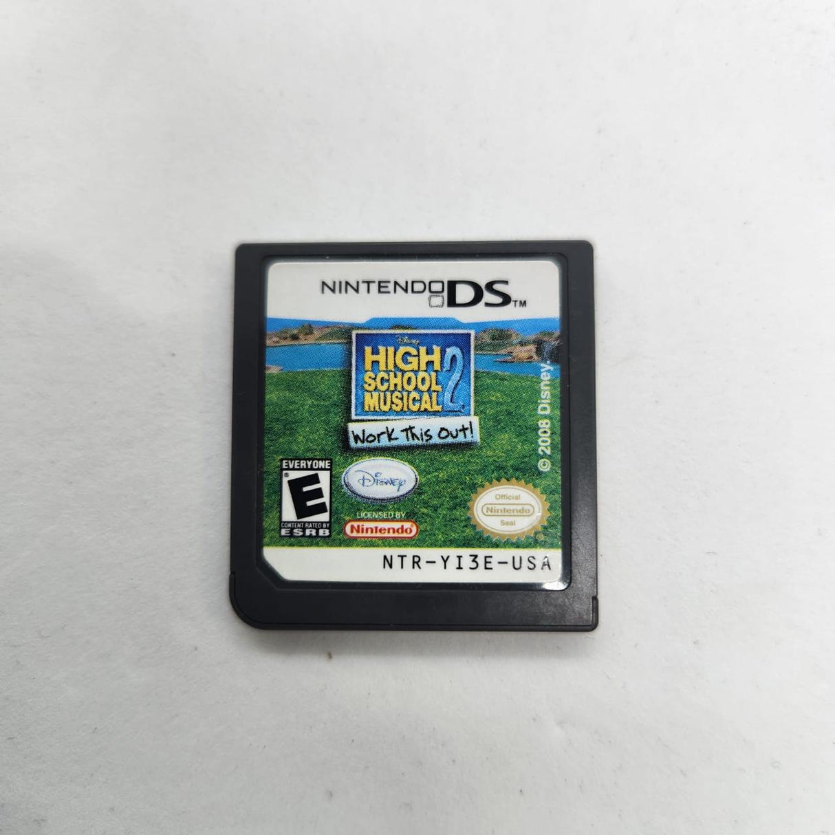 High School Musical 2 Work This Out Nintendo DS Game Cartridge