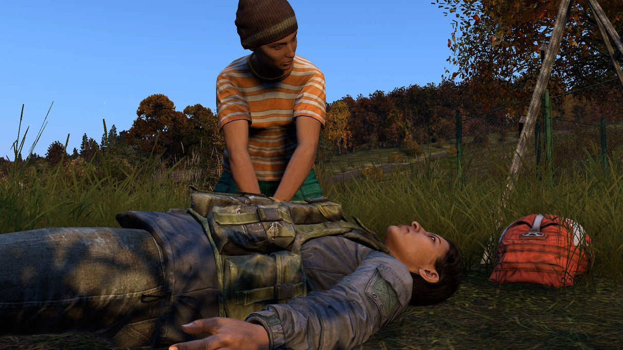 DayZ PS4 Playstation 4 Game
