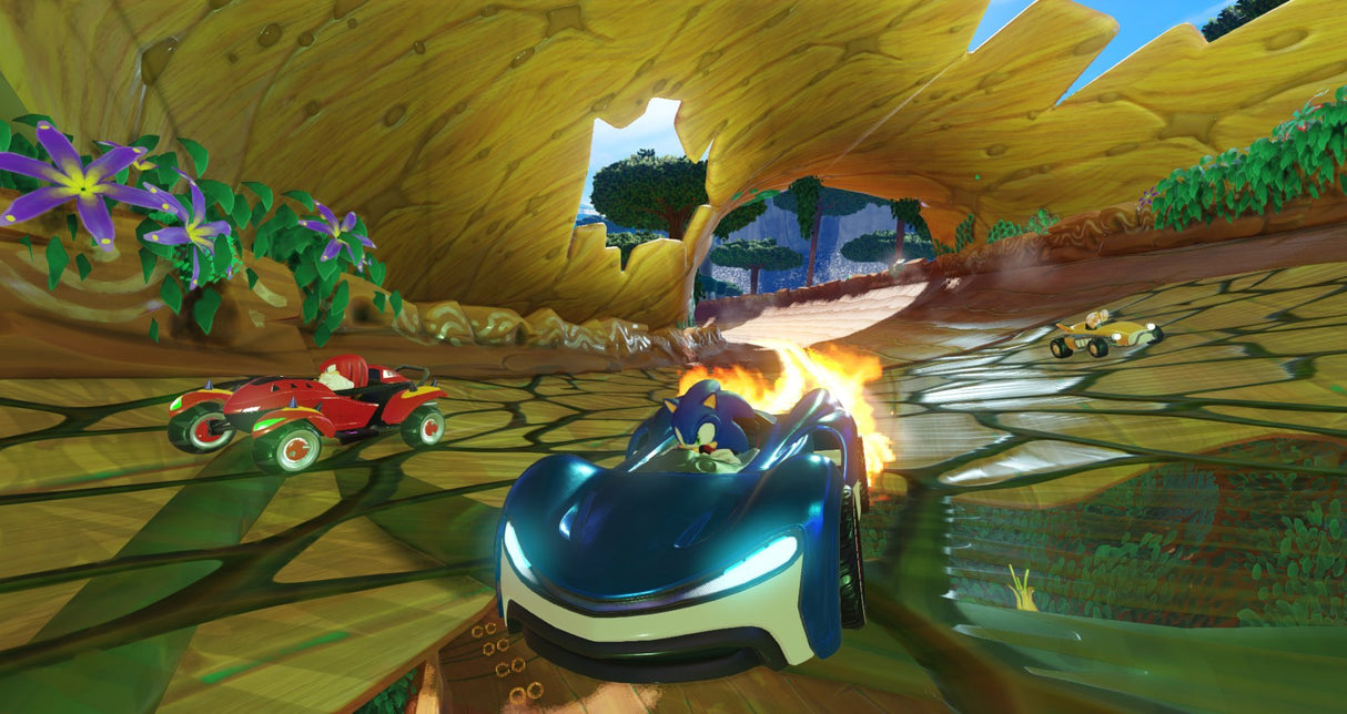 Team Sonic Racing Nintendo Switch Game