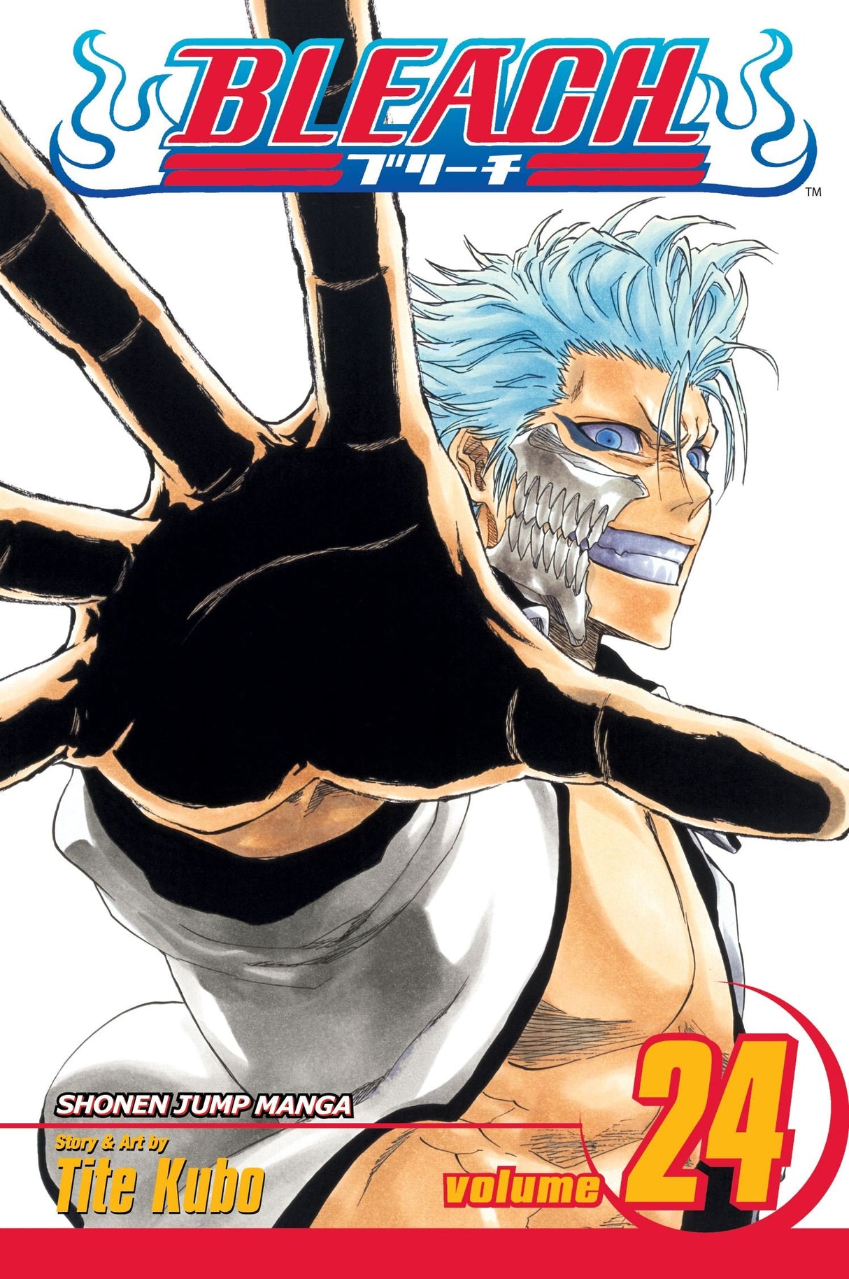 Bleach, Vol. 24 Immanent God Blues DVD
