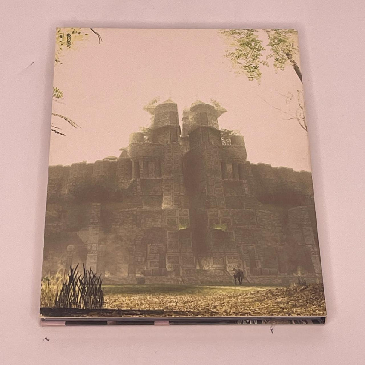 Shadow of the Colossus PS2 Playstation 2 Game + Manual PAL