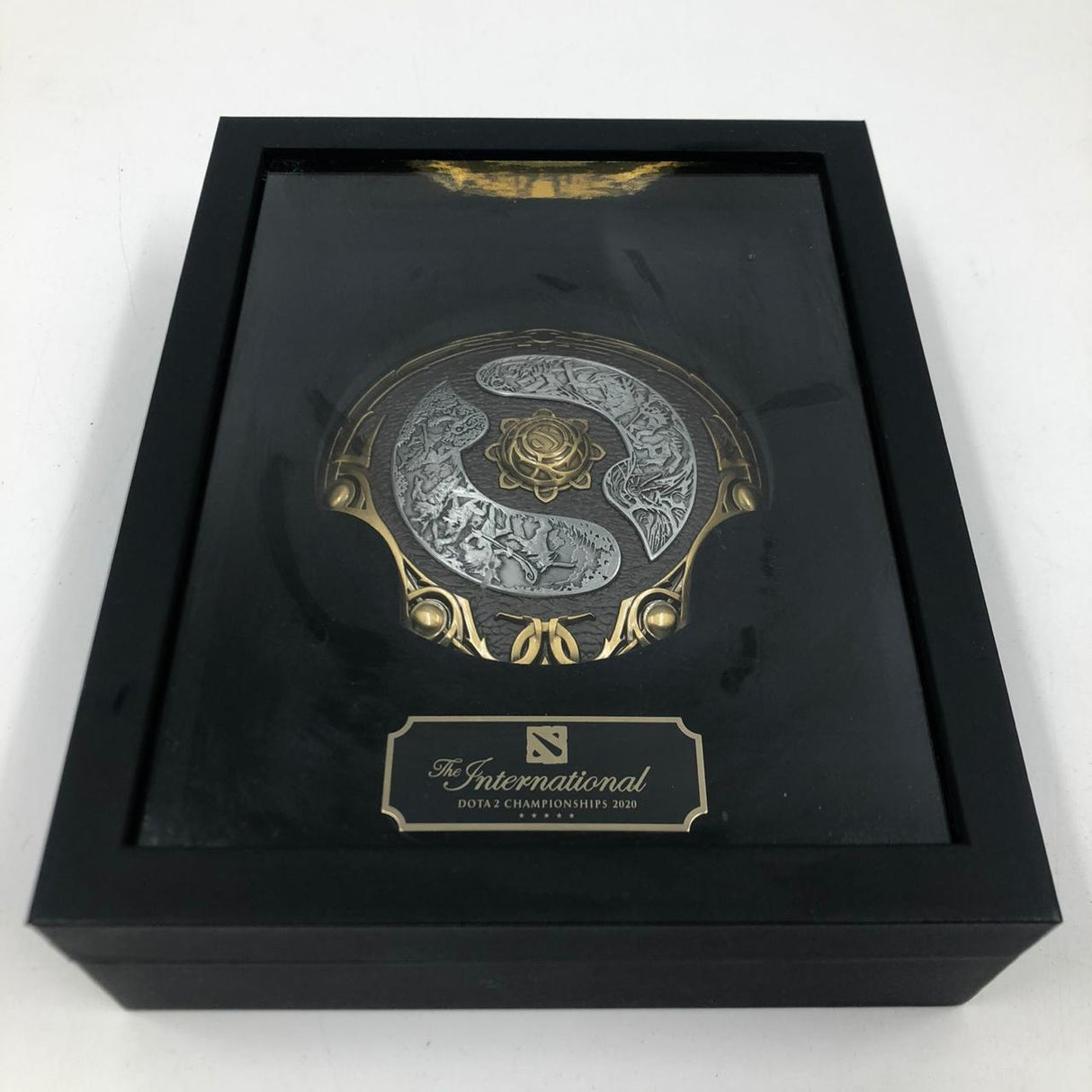 The International 2020 Dota 2 Aegis of Champions