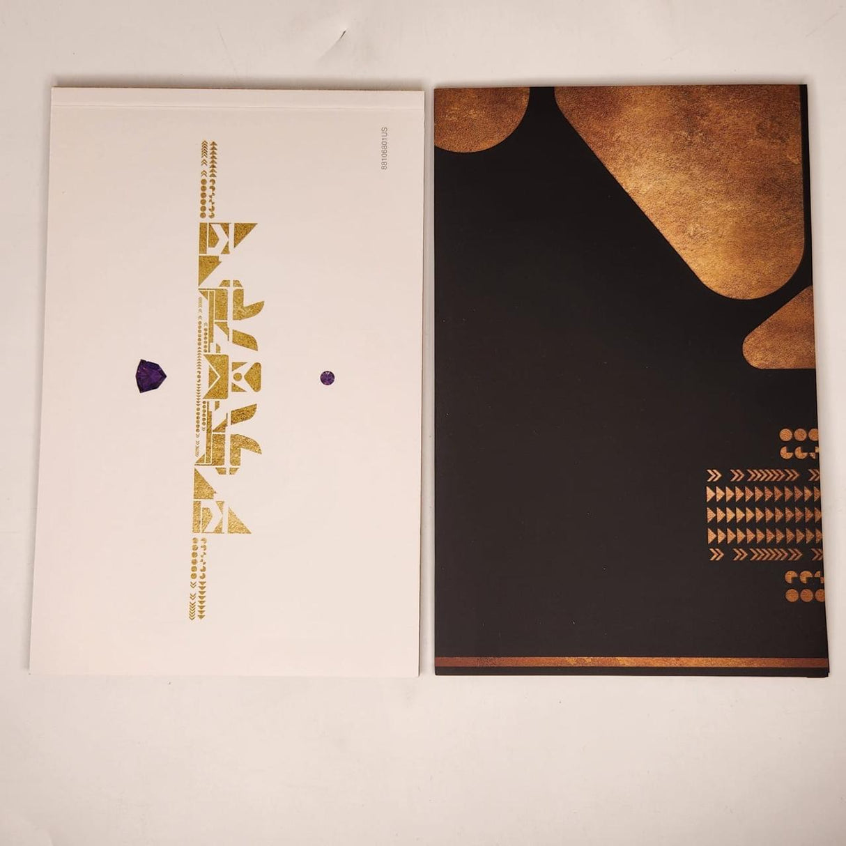 Destiny 2 PS4 Playstation 4 Game Complete Limited Edition Boxed