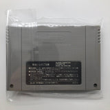 Samurai Spirits Super Nintendo SNES Game Cartridge NTSC-J 28A4 - Trippy Trades 