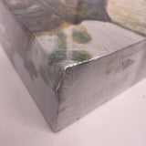 Red Dead Redemption 2 Collector's Edition Box