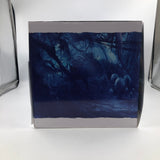 Avatar Frontiers of pandora Collector's Edition PS5 Playstation 5 Game Boxed