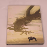 Shadow of the Colossus PS2 Playstation 2 Game + Manual PAL