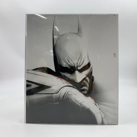 Batman Arkham City Figure And Art Book