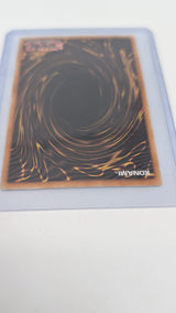 Dragon Master Magia BLTR-EN118 Quarter Century Secret Rare, 1st edition , NM