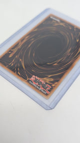 Dragon Master Magia BLTR-EN118 Quarter Century Secret Rare, 1st edition , NM