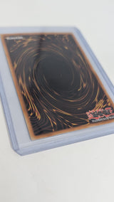 Dragon Master Magia BLTR-EN118 Quarter Century Secret Rare, 1st edition , NM
